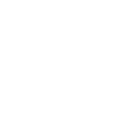 virgopg icon